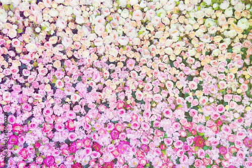 Pattern of fresh colorful roses.. © Worapoj