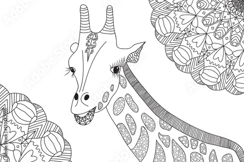 Hand-drawn giraffe illustration for coloring book