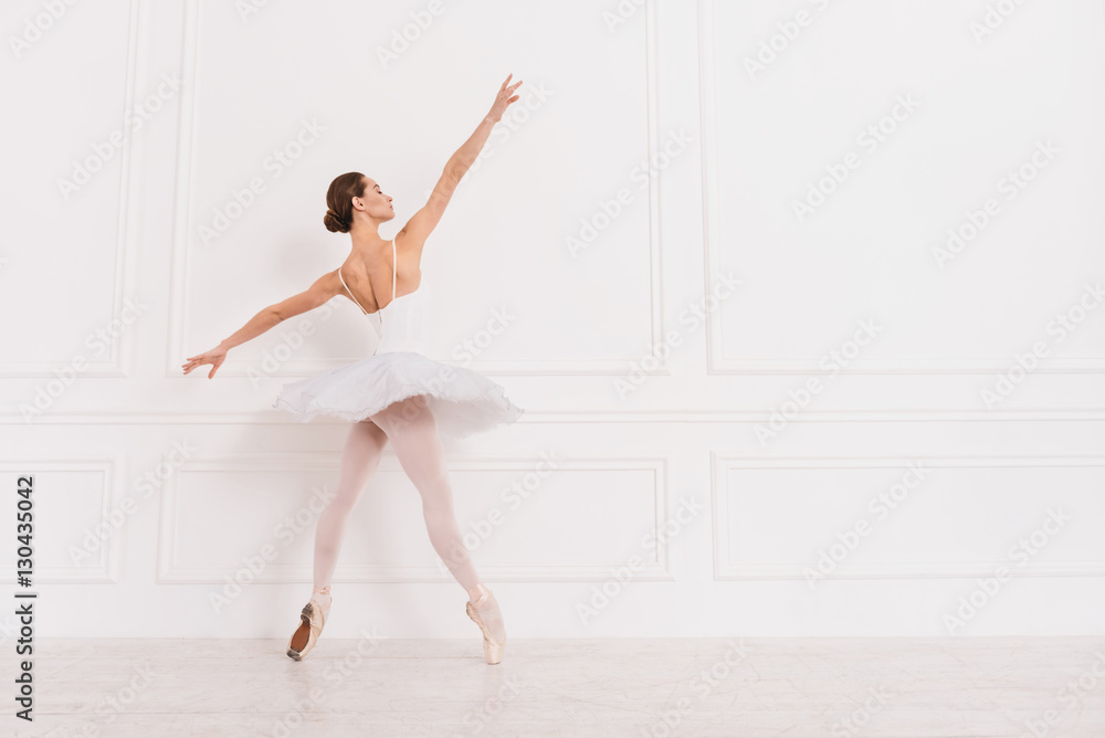 Graceful ballet dancer standing sideways on tiptoes Graceful ballet dancer standing sideways on tiptoes