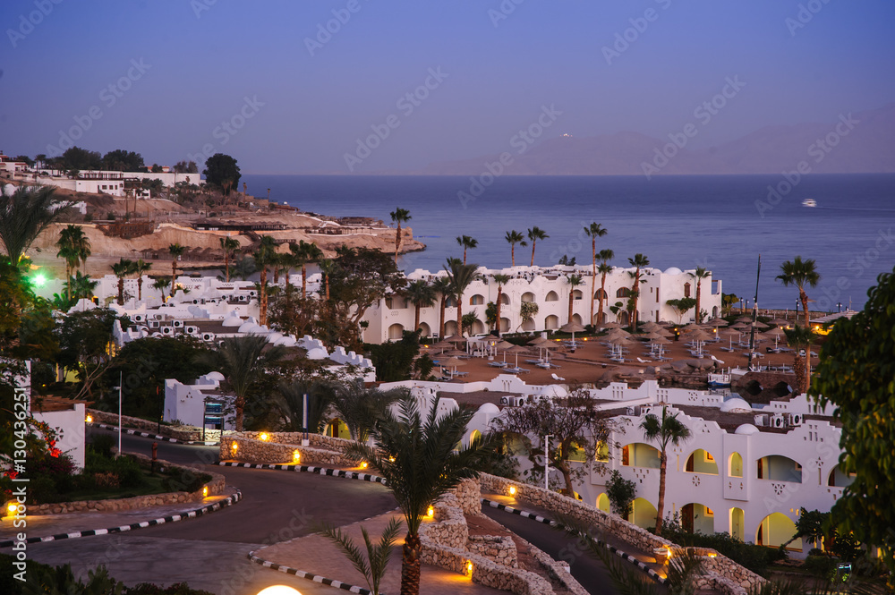 Fototapeta premium night in paradise palm arab style egypt tropical location palm