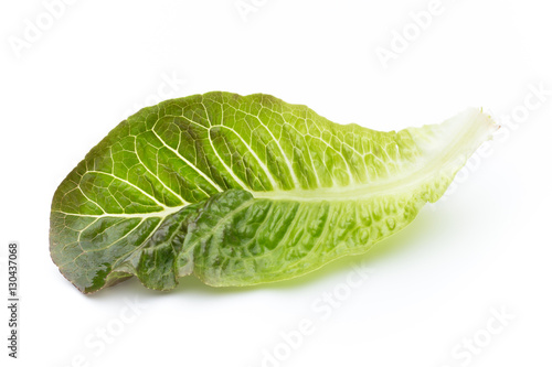 Fresh Lactuca sativa leaf isolated on white background.