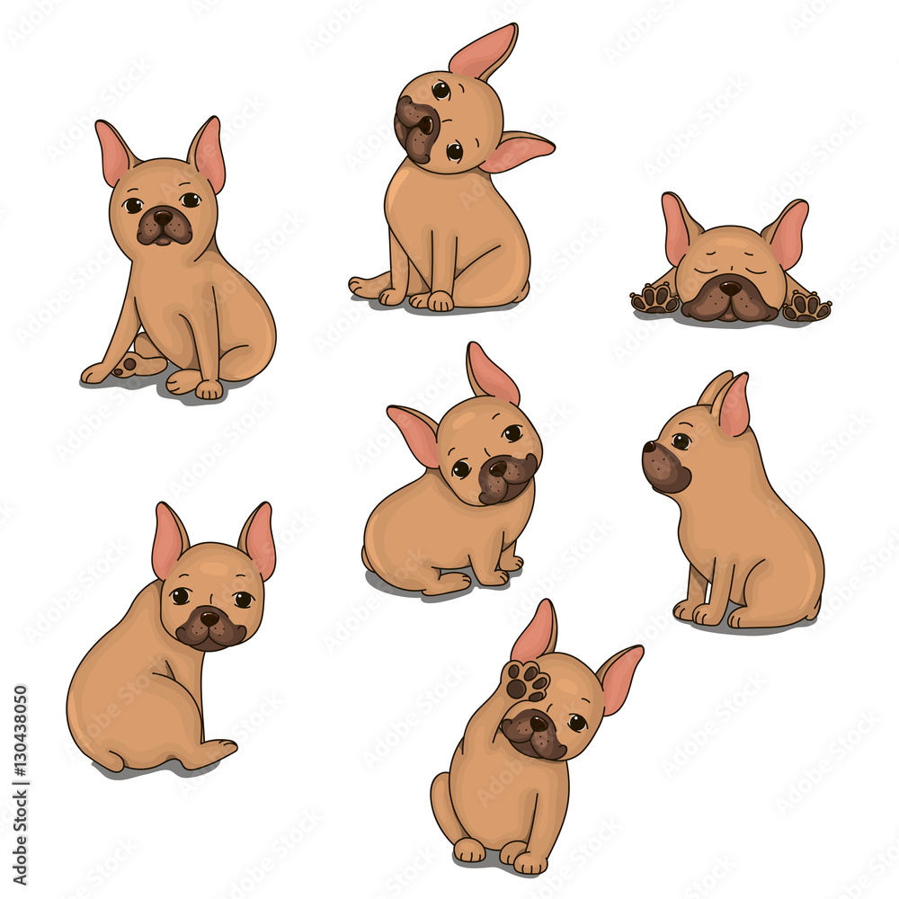 Fototapeta premium French Bulldog. Isolated vector object.
