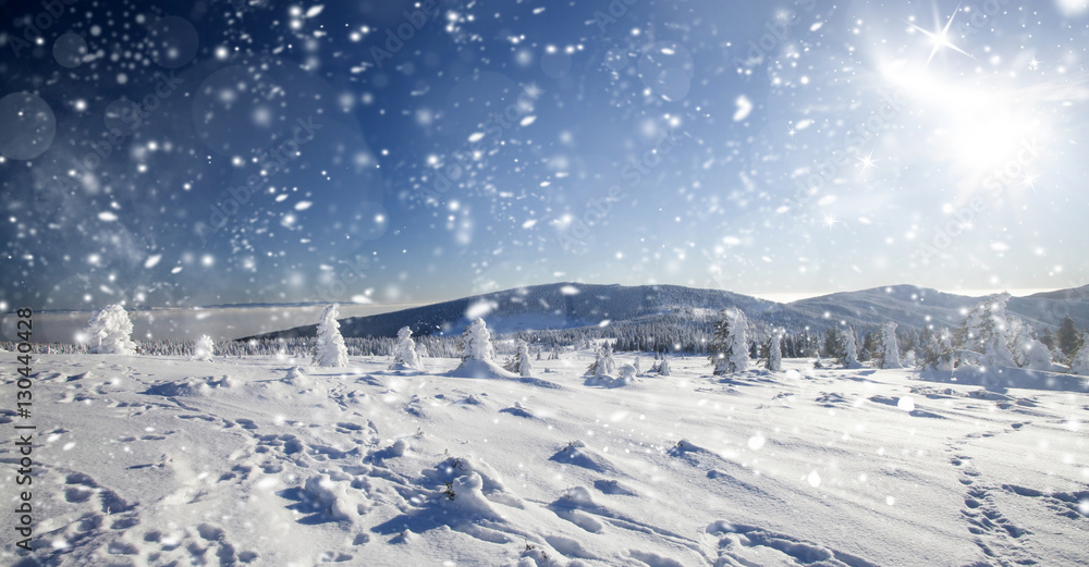 Winter landscape with snowy fir trees