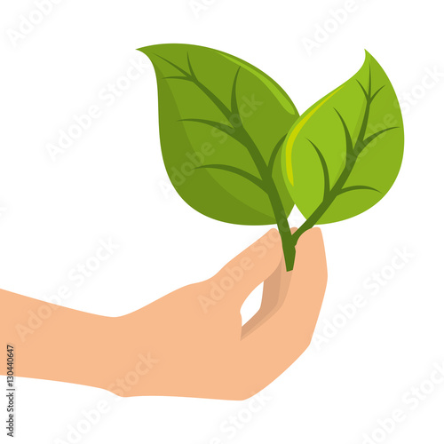leafs plant ecology icon vector illustration design