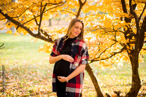 Young pregnant woman posing in autumn park