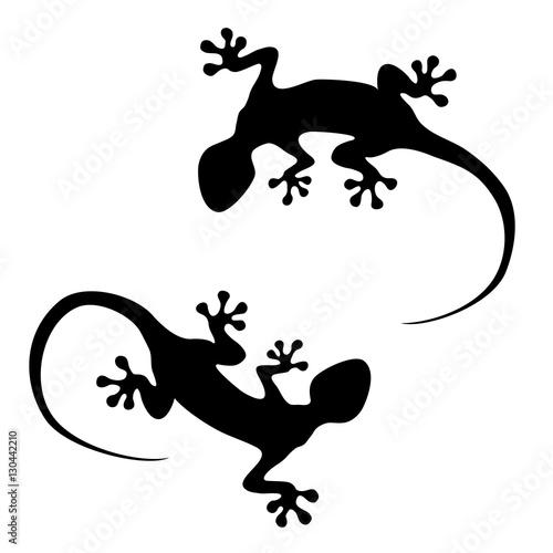 Vector lizard icons isolated on white © SunwArt