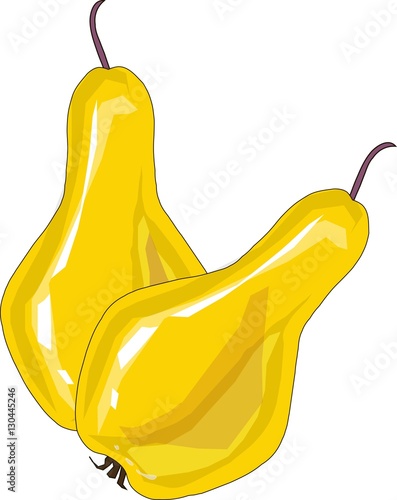 Yellow pears, brown roots on white background, hand drawing, painting. Healthy eating, fruit, organic, packaging design, product packaging, product label, design elements, clip art, illustration