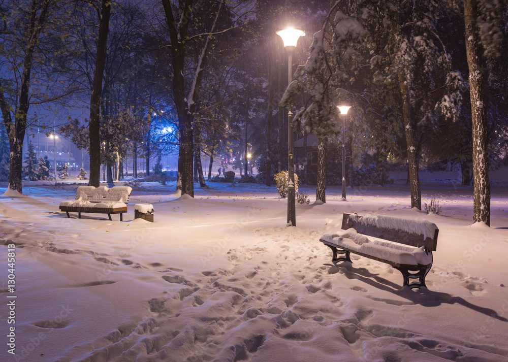 Winter night landscape bench under winter trees and shining street lights under winter falling