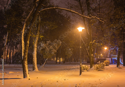 Winter night landscape- bench under winter trees and shining street lights under winter falling snowflakes. Colorful night scene with falling snow in the deserted night park