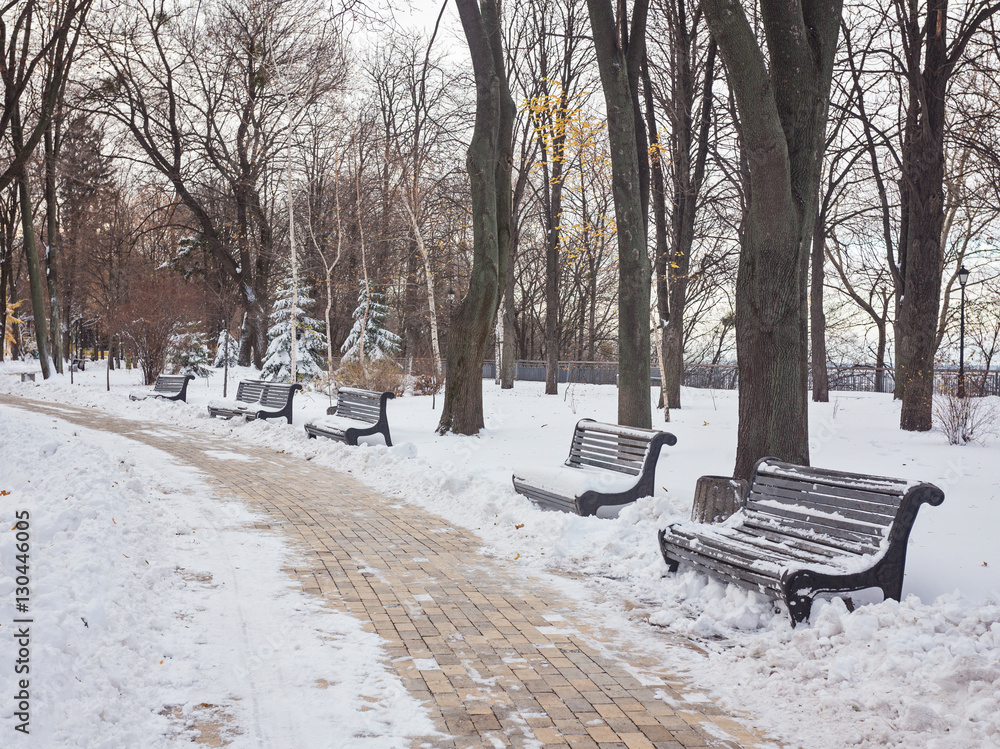 Winter landscape with benches in the alley of park Winter landscape with benches in the alley of park