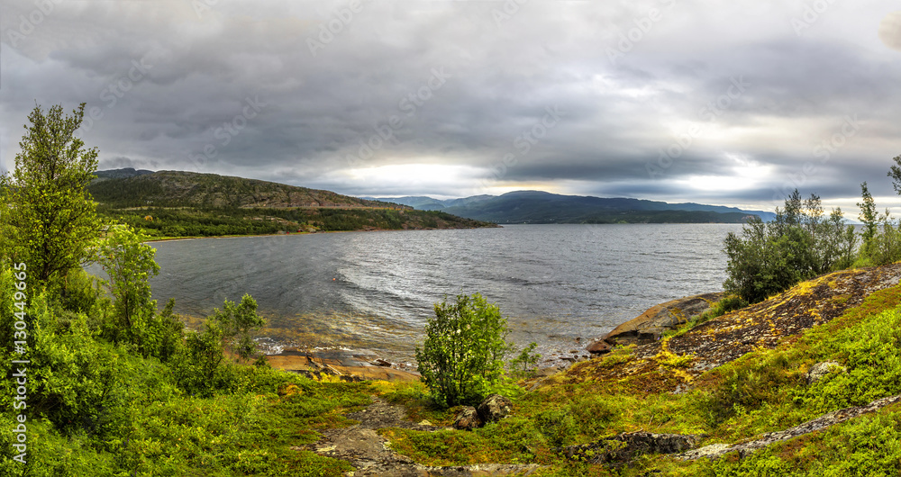 Naklejka premium North Norway nature. Rocky ground, green moss, low trees, beautiful fjords. Foggy cloudy weather.