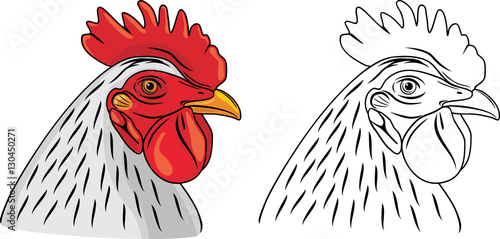 Cock head. The sample for coloring