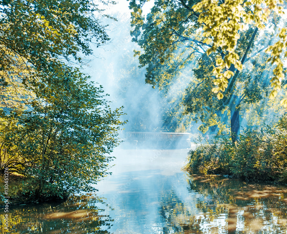 Fototapeta premium Summer morning on the edge of a lake