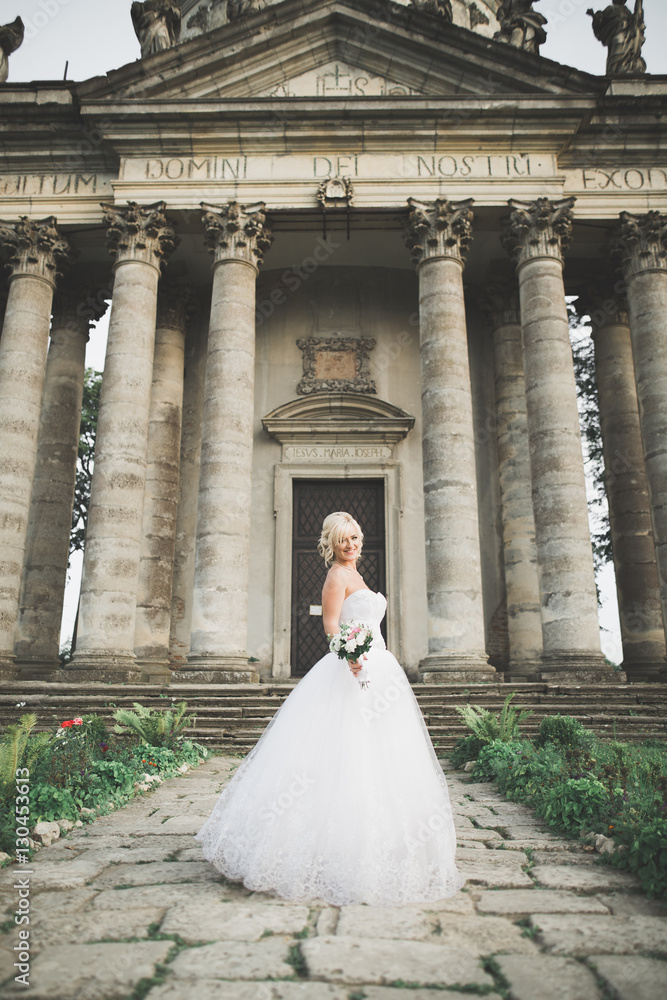 Obraz premium Gorgeous romantic gentle stylish beautiful caucasian bride on the background ancient baroque castle