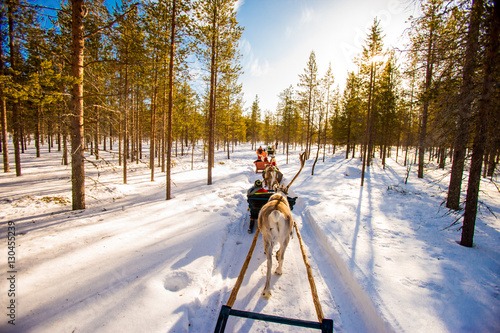Reindeer Safari, Kakslauttanen Igloo Village, Saariselka, Finland photo