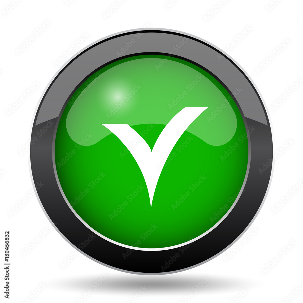 V checked icon V checked icon