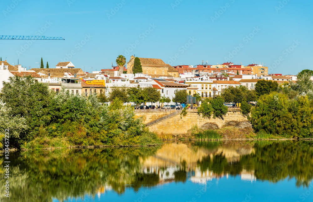 Obraz premium Cordoba city above the Guadalquivir river in Spain