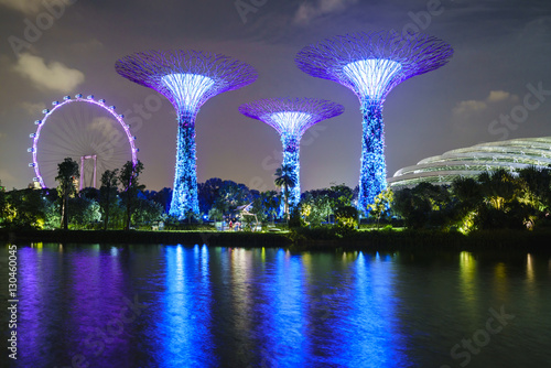 Supertree Grove in the Gardens by the Bay, a futuristic botanical gardens and park, illuminated at night, Marina Bay, Singapore photo