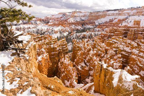 Fresh Snow Blankets Bryce Canyon Rock Formations Utah USA