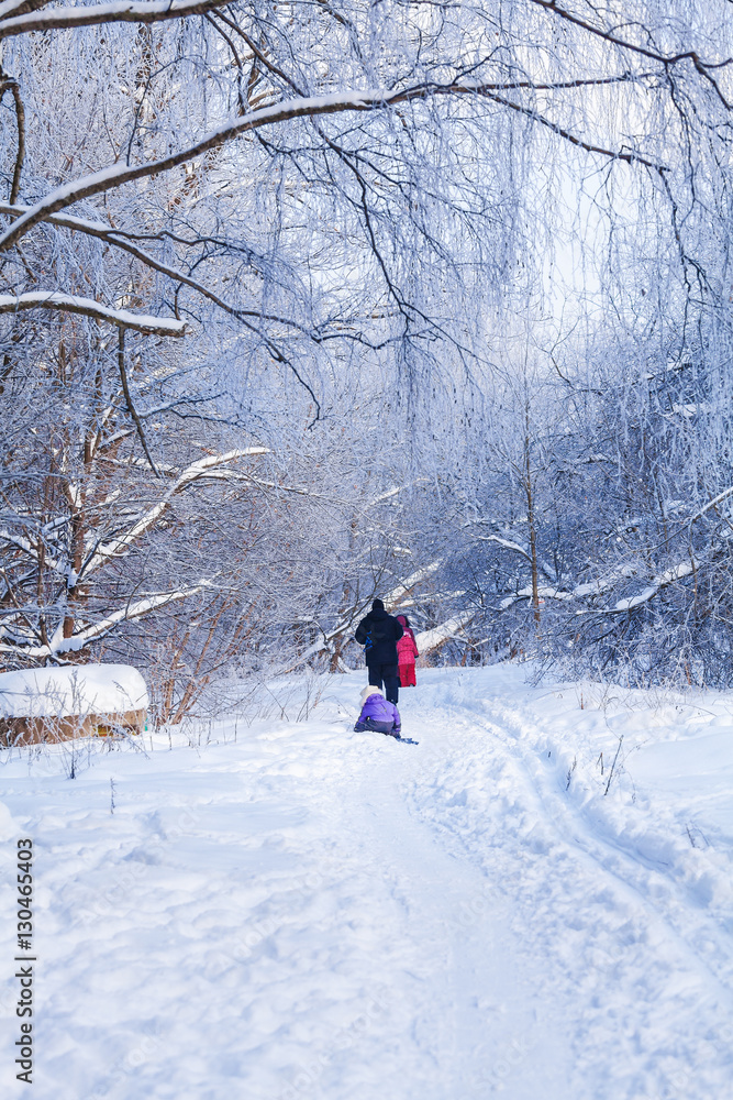 A family walking in winter forest