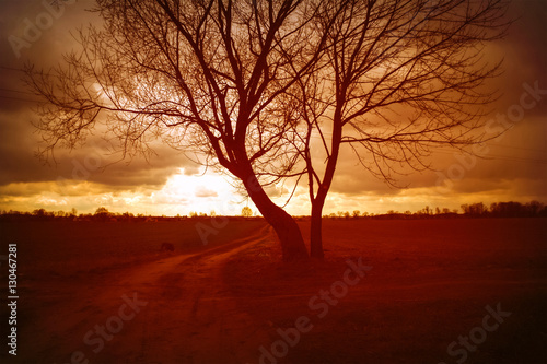 Dark  spooky road with a tree and three people walking