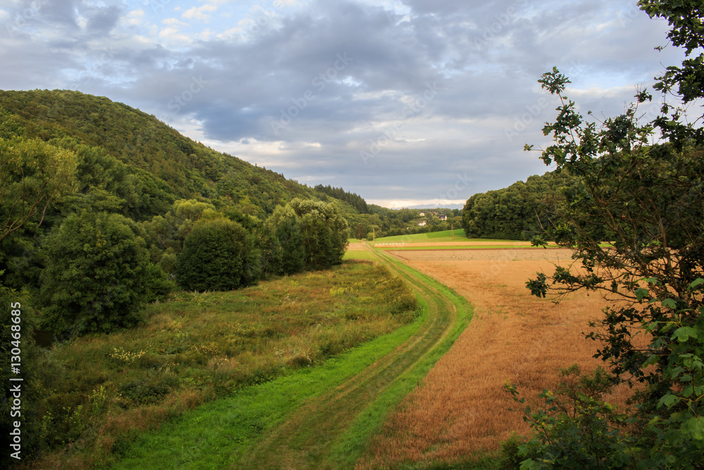 Landscape with farm lane