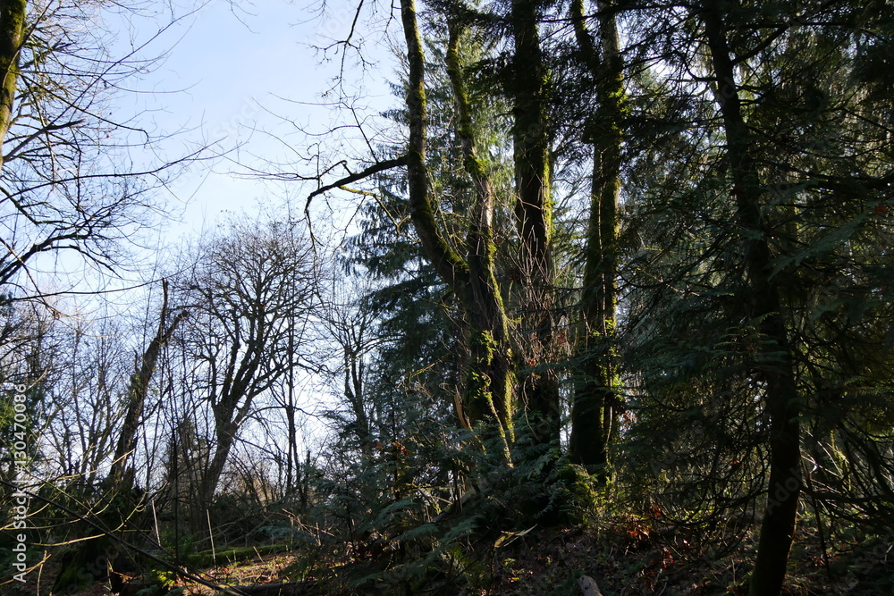 Nature Nature
