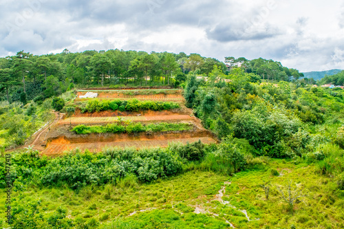 Obraz na płótnie Cascade fields plowed for sowing at tropic mountains in Vietnam w salonie