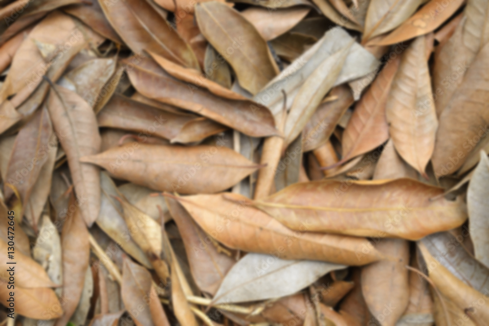 blurred Leaves, dried leaves yellow with bokeh, abstract backgro blurred Leaves, dried leaves yellow with bokeh, abstract backgro