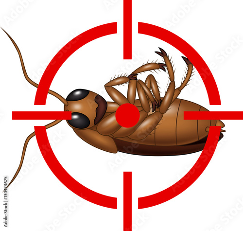 Cockroach on Target Icon