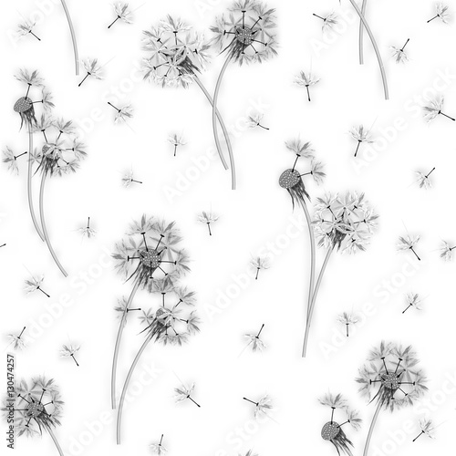 beautiful seamless graphic pattern of dandelions on a blue background