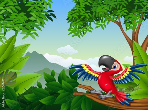 Cartoon macaw in the jungle