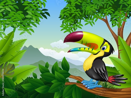 Cartoon toucan on a tree branch


