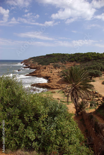Algerie Tipaza