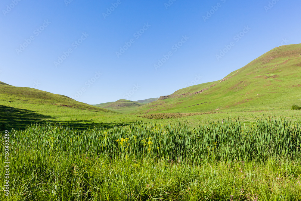 Mountains Green Valley Mountains Green Valley