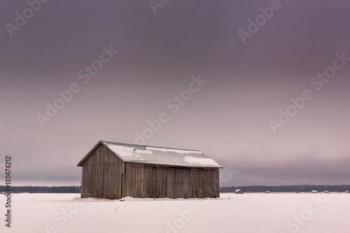 Winter Day On The Snowy Fields photo