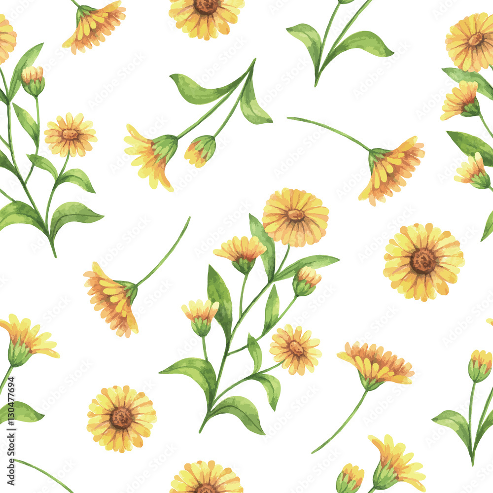 Watercolor vector seamless pattern with calendula, marigold flowers and branches. - obrazy, fototapety, plakaty 