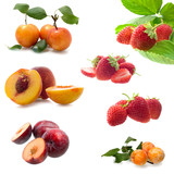 Fruit collage in white background
