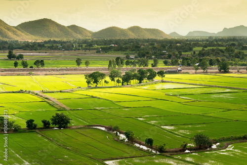 Terrace rice fields in Kanjanaburi, Thailand..