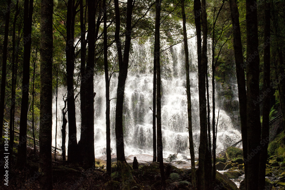 Waterfall in Tasmania Waterfall in Tasmania