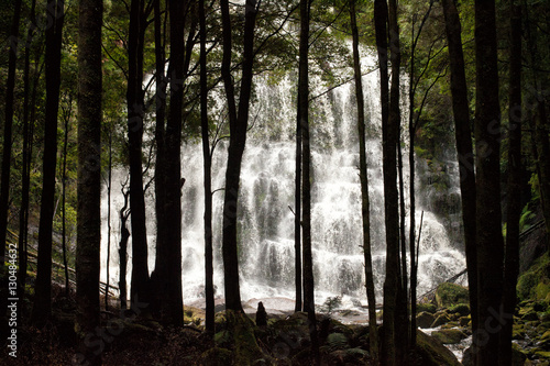 Waterfall in Tasmania