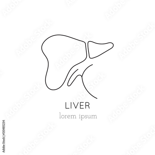 Liver line icon