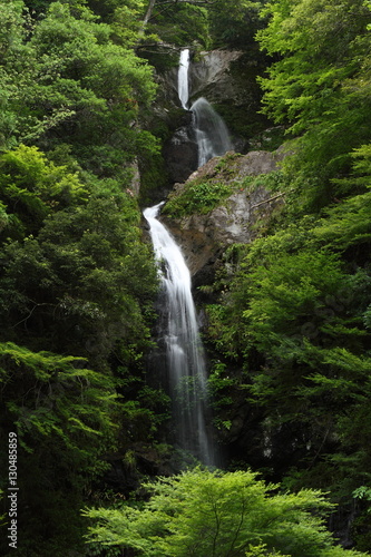 宮の滝 © NaturePhotograph