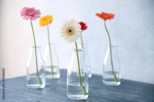 Flowers in vases on color background