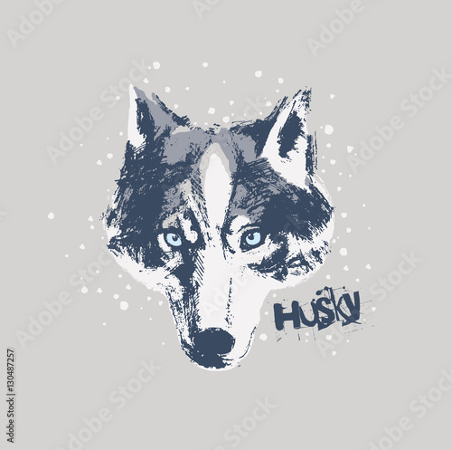 Muzzle dog, illustration made by hand and converted into vector.