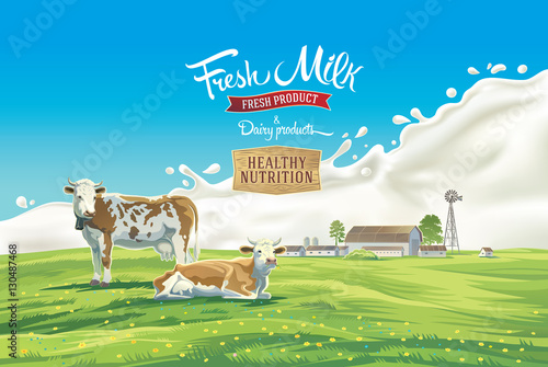 Two cows in the background of the summer landscape and splash from the milk, as well as graphic elements.