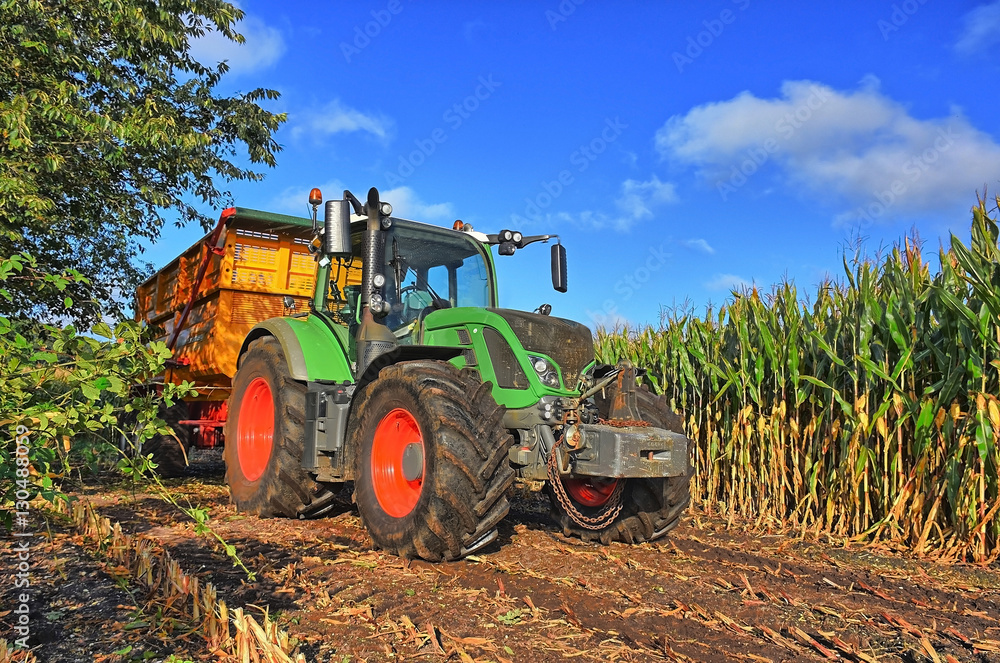 Green tractor with red wheels driving on farmland during the harvest season, harvesting corn Green tractor with red wheels driving on farmland during the harvest season, harvesting corn