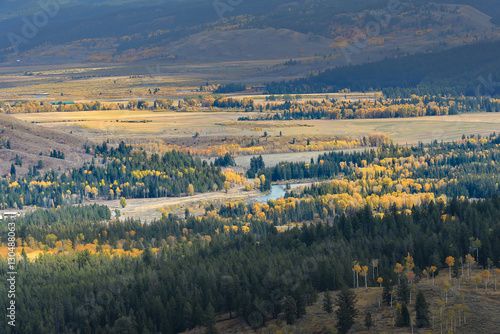 Peaceful meadow in Grand Teton