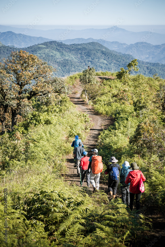 hikers on the trail in the Caucasian mountains... hikers on the trail in the Caucasian mountains...