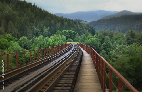 Railway in the forest in the mountains. Blurred background. The existing railroad on the bridge, located in Ukraine, Carpathian mountains. Forest mist atmosphere.